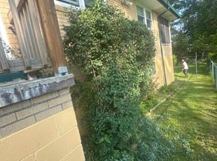 Bush Trimming by Jaquayla Gilmore for Janice D. in Pittsburgh, PA
