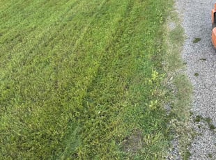 Cleanups by Patrick Stewart for Nathan A. in Anna, TX