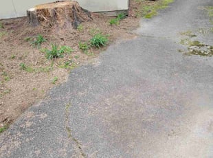 Cleanups by Reginald Gaston for Louise S. in Birmingham, AL