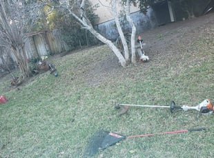 Bush Trimming by James Brown for Latasha K. in Tallahassee, FL