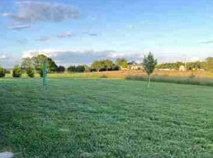 Alicia G.'s Lawn Maintenance service result