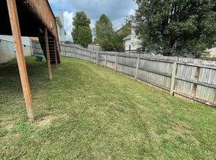 Carly R.'s Yard Cutting service result