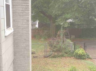 Bush Trimming by Shaquille Davis for Jeffrey W. in Greenville, SC