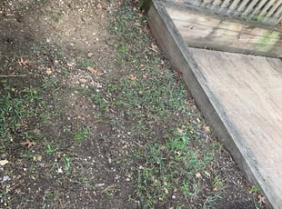 Cleanups by Gilberto Ayala for Rachael W. in Arlington, VA