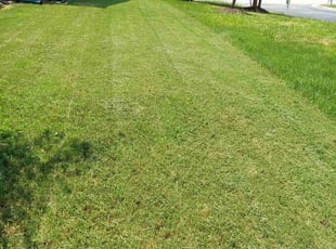 Landscaping by Ryan Taylor for Shailesh N. in Morrisville, NC