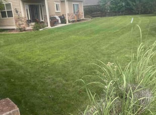 Tabitha D.'s Lawn Service service result