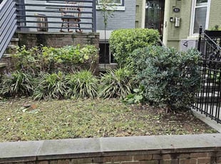 Bush Trimming by Jose Paz for Rebecca L. in Washington, DC