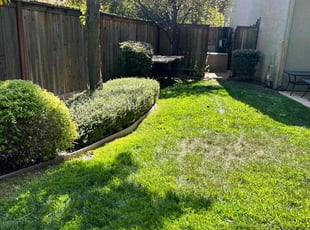 Bush Trimming by Gabriel Aldrete for Jodi S. in Roseville, CA