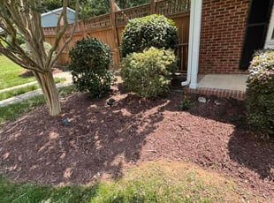 Bush Trimming by Quincy D. for Mark S. in Charlotte, NC