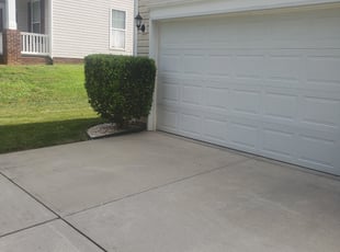 Bush Trimming by Colleen Strickland for Robin D. in Matthews, NC