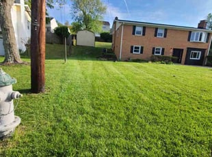 Serena S.'s Lawn Mowing service result