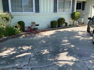 Bush Trimming by Michael Ruiloba for Cheryl H. in Stockton, CA