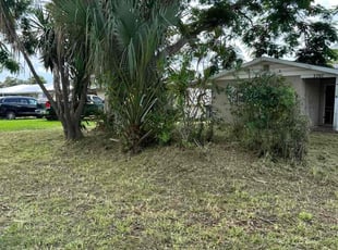 Amy S.'s Cleanups service result