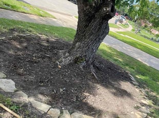 Weeding by Fernando Chairez for Brian A. in Keller, TX