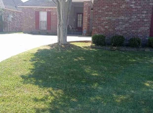 William T.'s Lawn Mowing service result