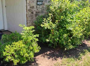 Leaf Removal by Jacob Evans for Laurie M. in Longview, TX