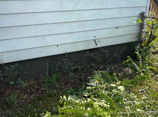 Cleanups by LaWanda Moses for Raychel W. in Richmond, VA