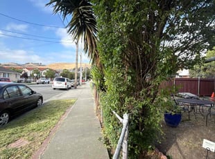 Bush Trimming by Maria Almendra for Dwight D. in Hayward, CA