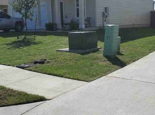 Trudy R.'s Lawn Mowing service result