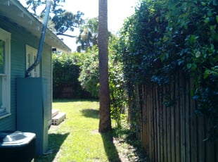 Bush Trimming by Rodney LeDuc for Melanie H. in Tampa, FL