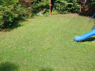 Bush Trimming by Corey Benson for Sophila J. in McDonough, GA