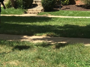 Bush Trimming by Kamonta Hackey for Michelle DUPLICATE ACCOUNT4 L. in Rockville, MD