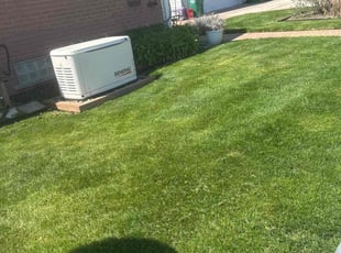 Anndell B.'s Lawn Mowing service result