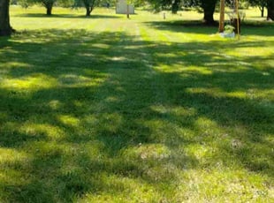 Lucia G.'s Lawn Care service result