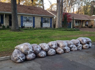 Leaf Removal by Edward Kauffman for Nikko K. in Virginia Beach, VA