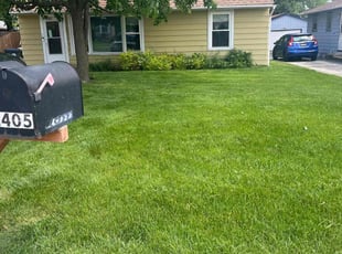 Laqunda W.'s Lawn Care service result