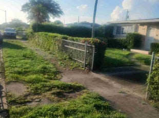 Bush Trimming by Frank Furia for Tammy A. in West Palm Beach, FL