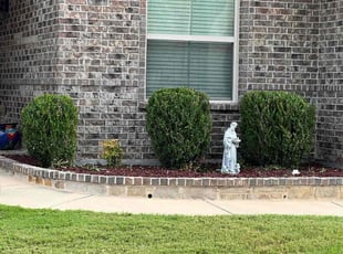 Bush Trimming by Manuel Gonzalez for Fernando P. in Burleson, TX