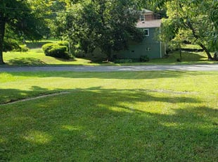 Brandon M.'s Lawn Service service result