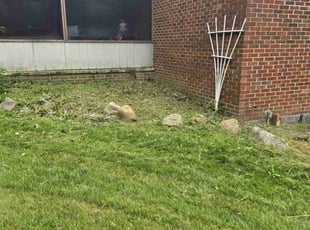 Weeding by Richard Vonderau for Myron W. in South Euclid, OH