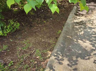 Leaf Removal by Henry Wilson for Carlton H. in Douglasville, GA