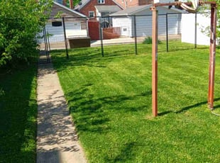 Deandre A.'s Lawn Care service result