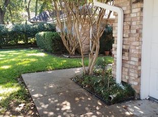 Bush Trimming by THOMAS JONES for Amy W. in Arlington, TX