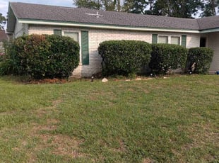 Bush Trimming by Christopher Zachrich for Kylie W. in Jacksonville, FL