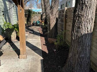Leaf Removal by Lew Wright for Janus A. in Austin, TX