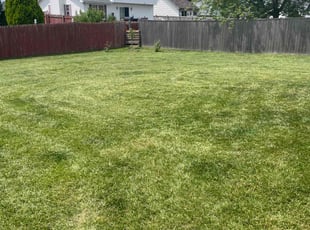 Debra M.'s Lawn Mowing Service service result