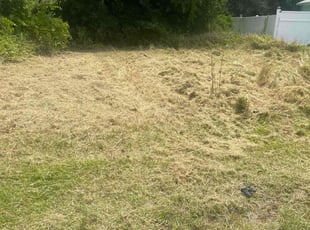 Cleanups by James Ramey for Karman N. in Poinciana, FL