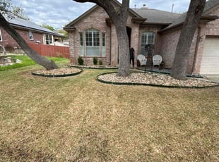 Leaf Removal by Caleb Alvarez for Cathy D. in San Antonio, TX
