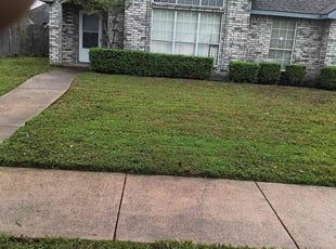 Kenneth S.'s Lawn Mowing service result