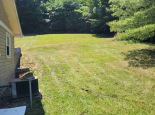 Nancy M.'s Lawn Mowing service result