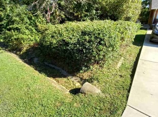 Bush Trimming by Tarik Sampson for Philana P. in Fredericksburg, VA
