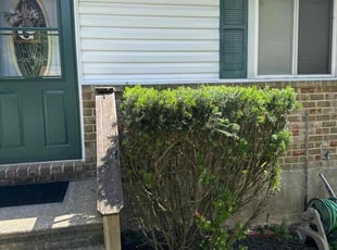Bush Trimming by Walter Γlvarez for Glenda Gay D. in Catonsville, MD