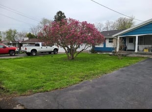 Melissa H.'s Lawn Care service result