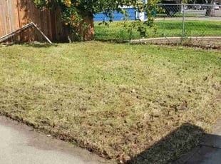 Cleanups by Jack Catlin for Deanna W. in Stockton, CA