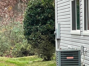 Bush Trimming by Carlos Portillo for Yun-Ting W. in Burke, VA