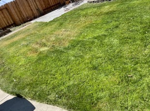 Cleanups by Ramon Mojica for Heidi T. in Sacramento, CA